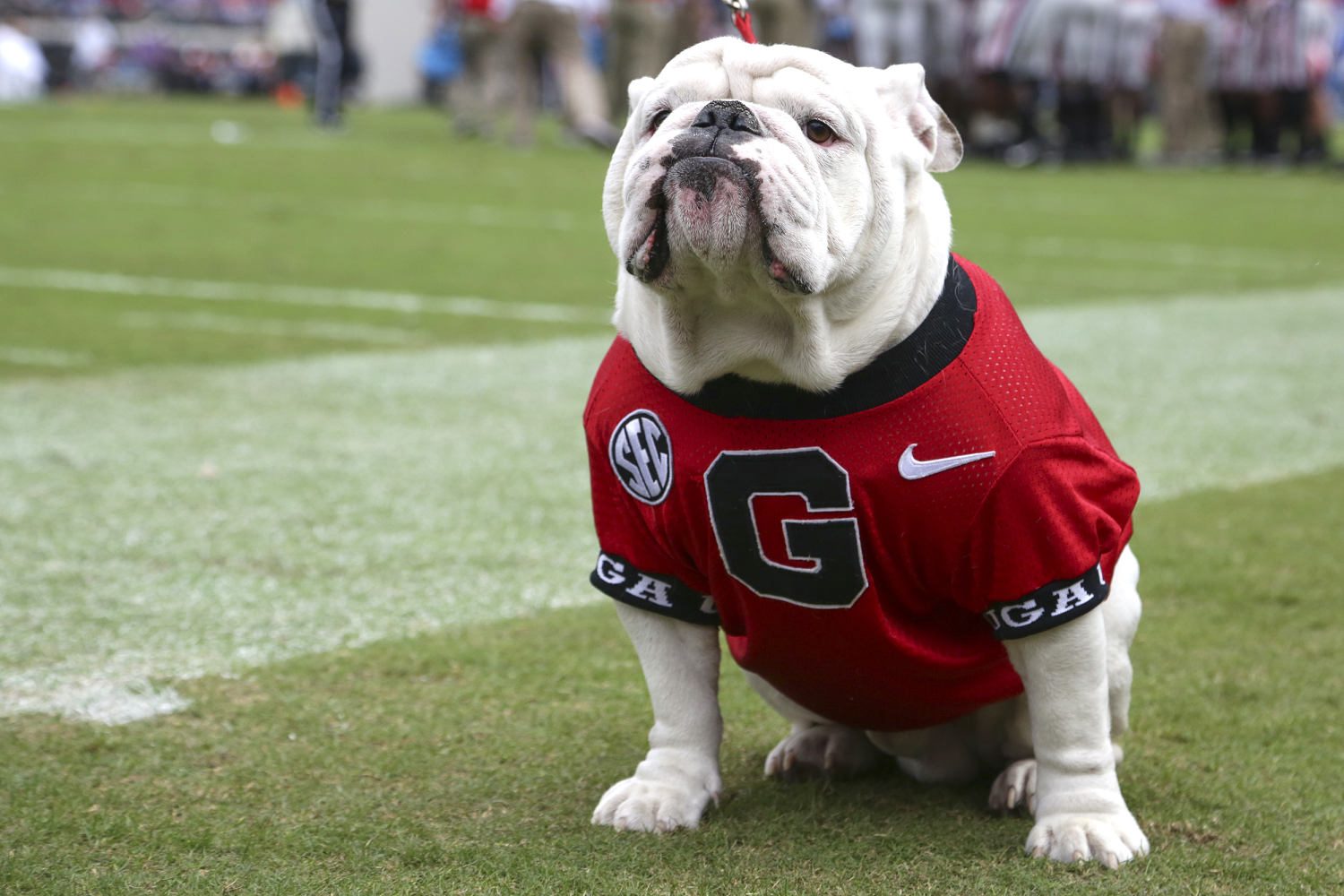 UGA X