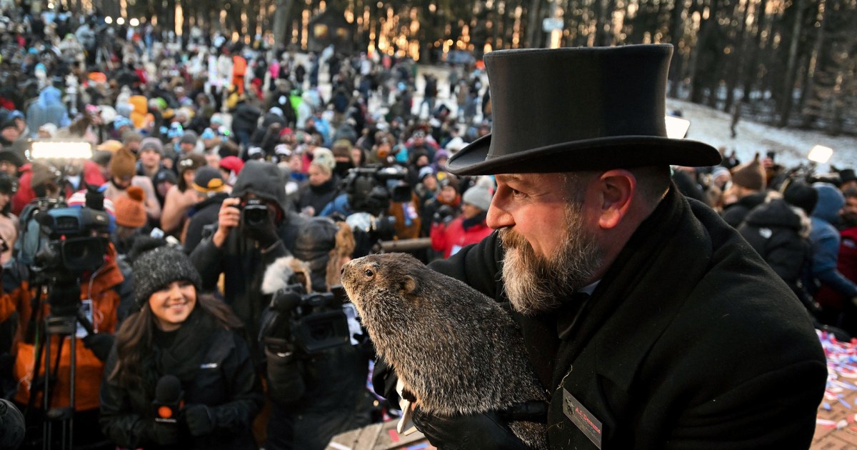 2024 Groundhog Day prediction in Gobbler’s Knob Just another